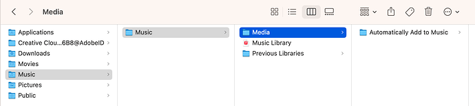 Screenshot 2024-03-01 at 7.43.46 PM