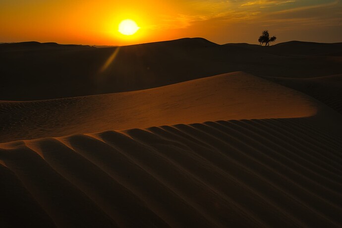 _ABU0525