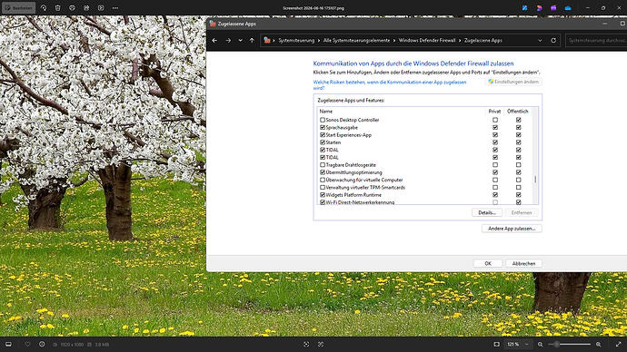 Screenshot 2026-06-16 175543