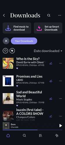 roon_arc_offline_downloaded_music