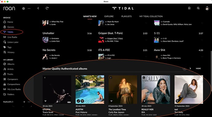 Roon - TIDAL Screenshot 2025-04-25