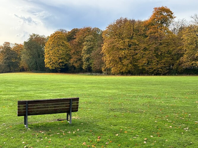 Autumn is coming to Jenischpark