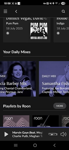 Screenshot_20250719_225844_Roon_Original