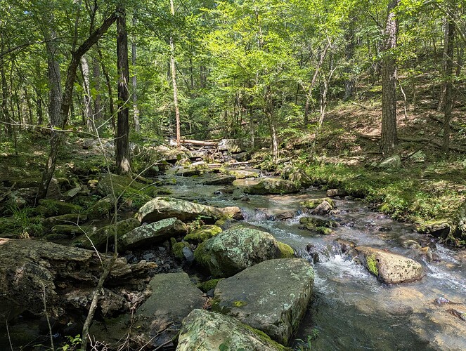Collins Creek Trailhead and Falls (10)