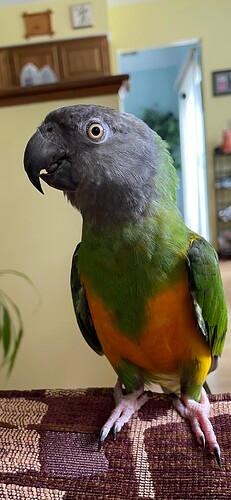IMG_3228