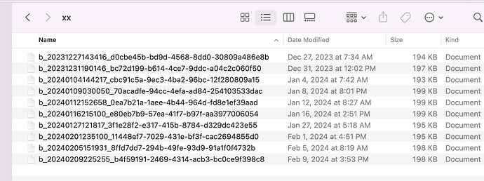 Screen Shot 2024-02-19 at 4.10.14 PM