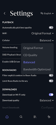 arc_settings_playback_02