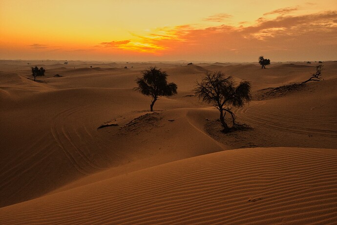 _ABU0450