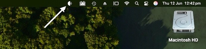 Screenshot 2025-06-12 at 12.42.18 pm