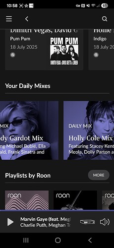 Screenshot_20250719_225851_Roon_Original