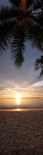 DSCF4046