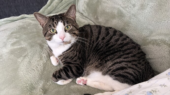 20251018_161541251_iOS