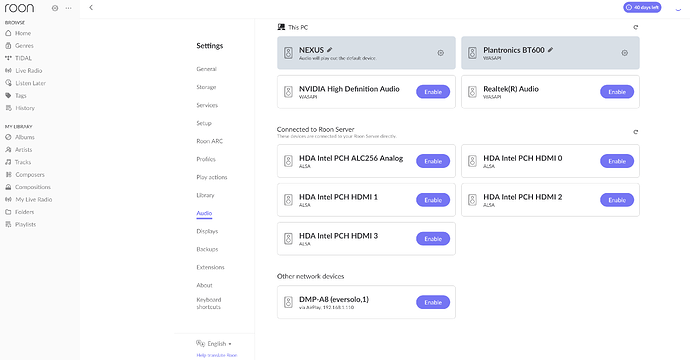 Eversolo Airplay only