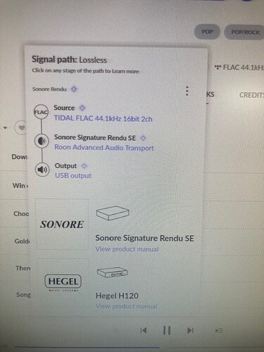 roon signal path