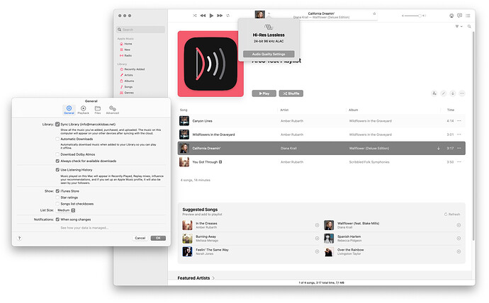 Arco-Test-Playlist