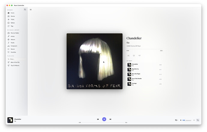 Screenshot 2026-02-16 at 12.31.01 PM