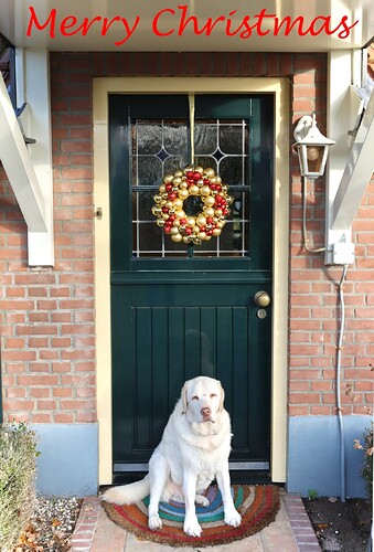 Xmas Card 2023-2a