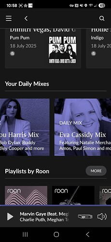 Screenshot_20250719_225858_Roon_Original