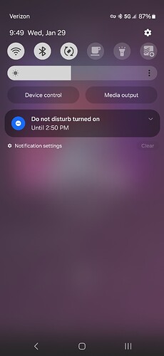 1000027077