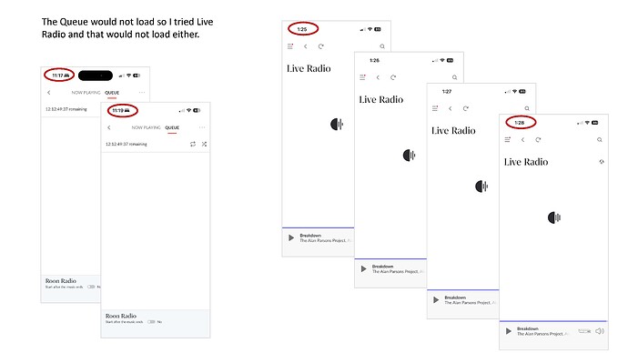 Roon Slowness Example Update_Page_3