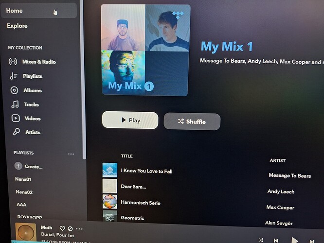 Tidal 1