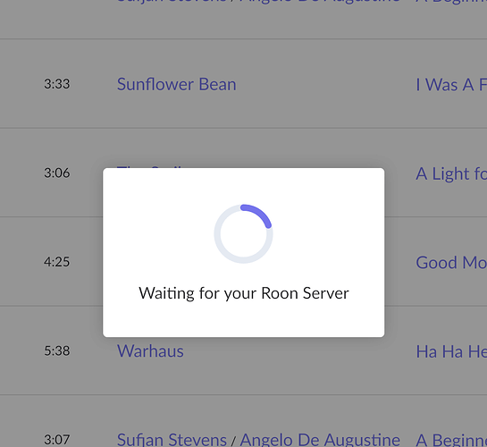Waiting for Roon Server