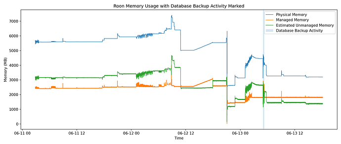 roonmemorymanagedunmanagedwithdatabasebackup