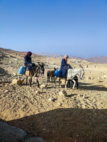 IMG20251112091819-EDIT