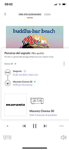 IMG_7098.PNG