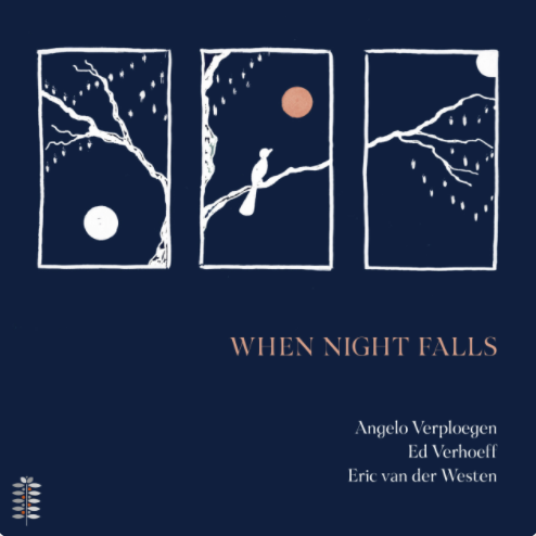 When Night Falls