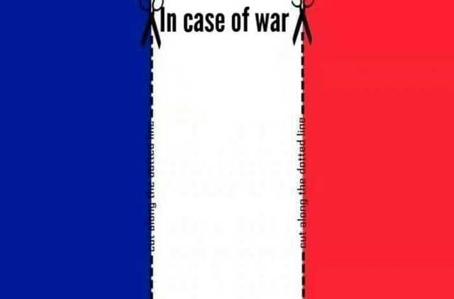 FranceWarTimeFlag