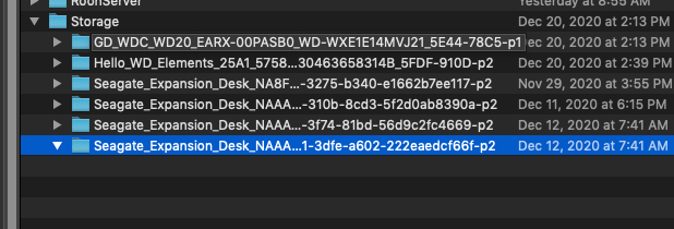 Screen Shot 2020-12-22 at 12.42.35 PM