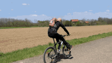 wilde-ride