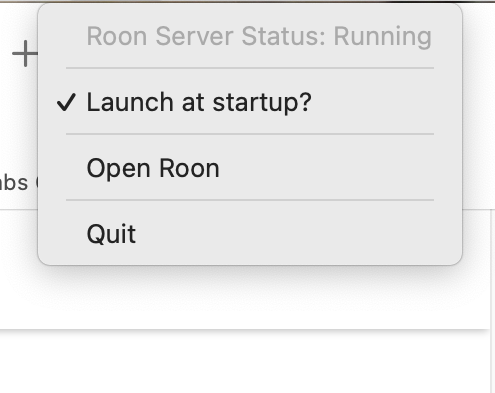 Roon Server