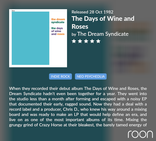 Dream Syndicate