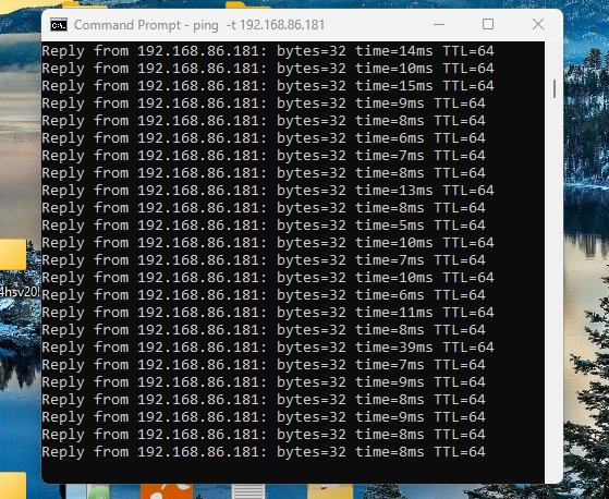 ping to roon on asustor