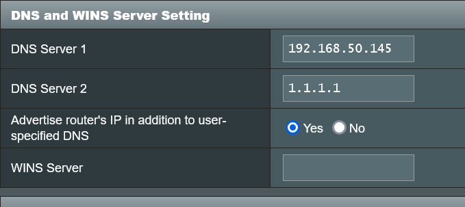 DNS and WINS Server